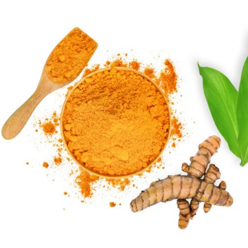 NOP Organic High quality turmeric 95% curcumin extract